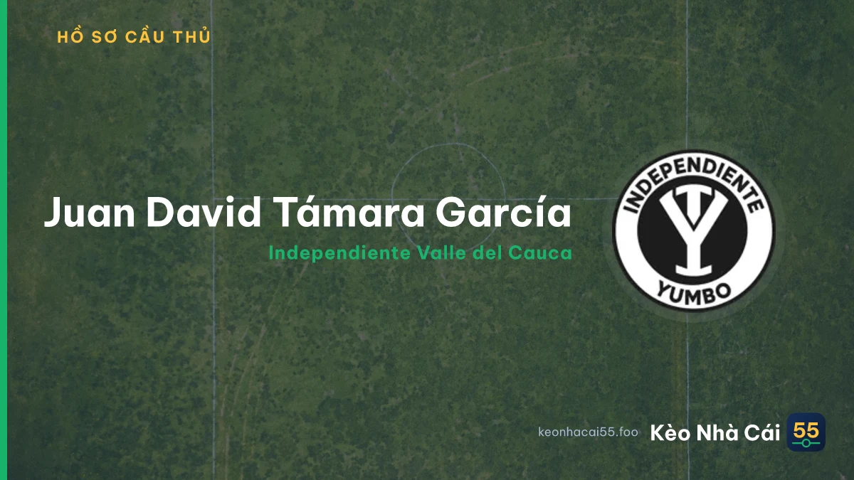 Juan David Támara García — Independiente Valle del Cauca