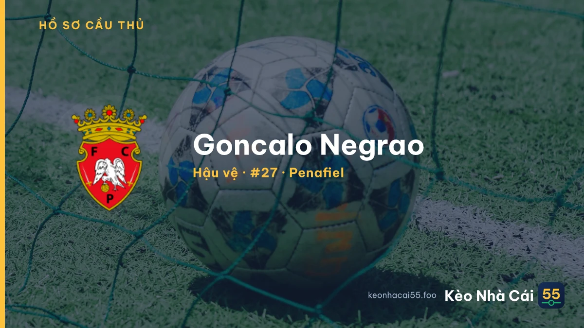 Goncalo Negrao — Penafiel