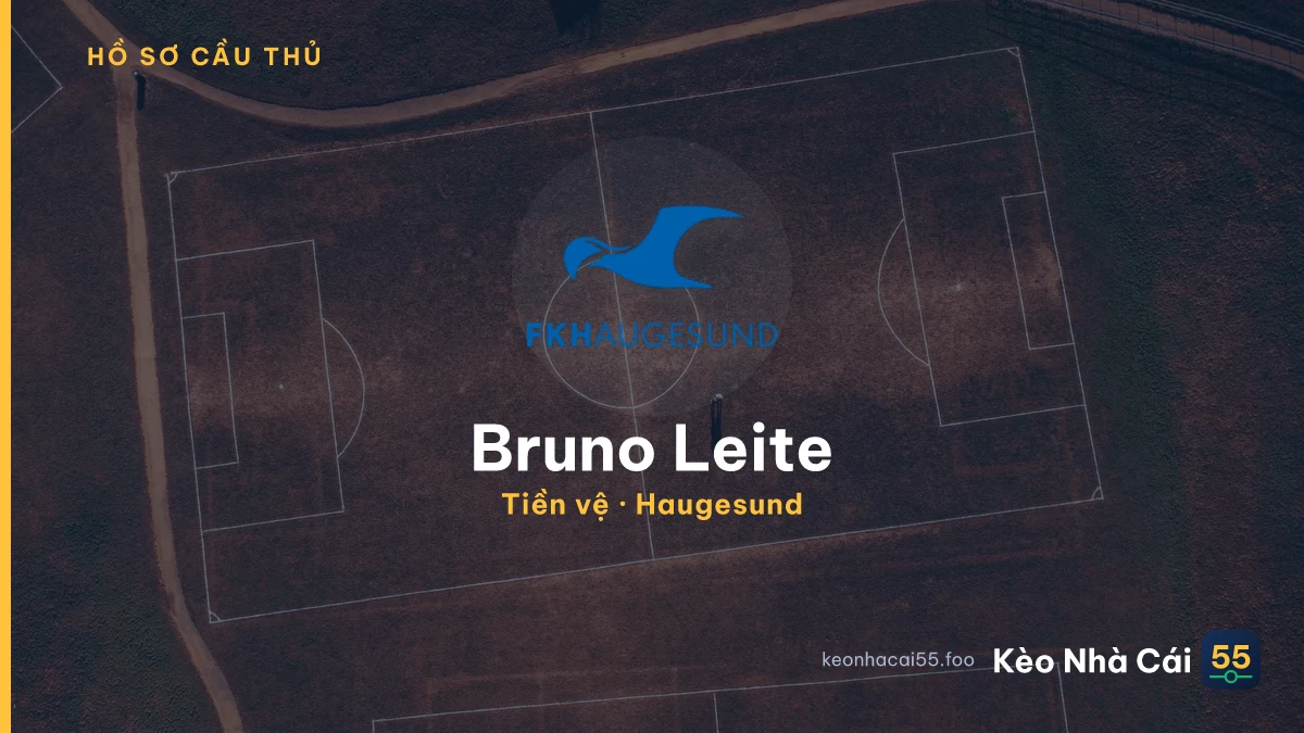 Bruno Leite — Haugesund