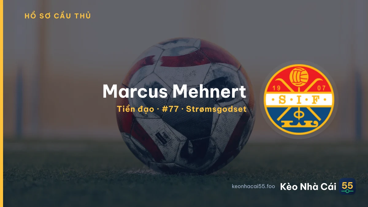 Marcus Mehnert — Strømsgodset