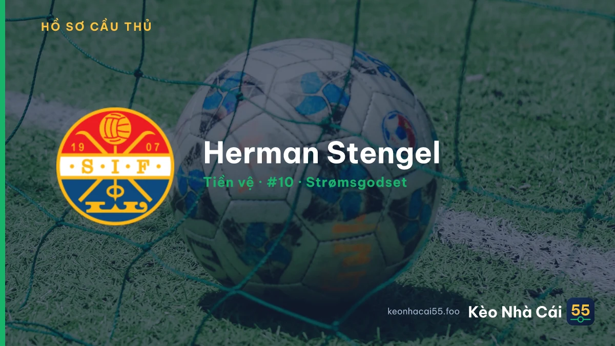 Herman Stengel — Strømsgodset