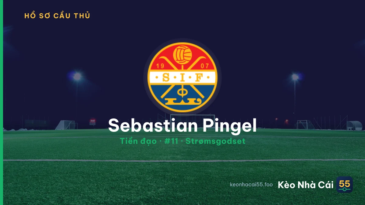 Sebastian Pingel — Strømsgodset