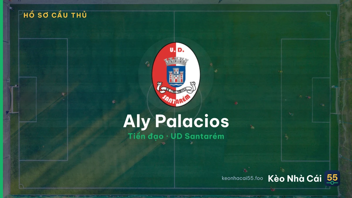 Aly Palacios — UD Santarém