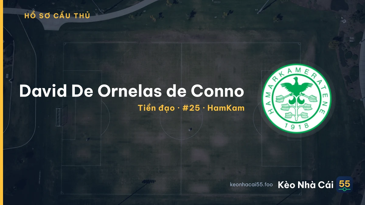David De Ornelas de Conno — HamKam