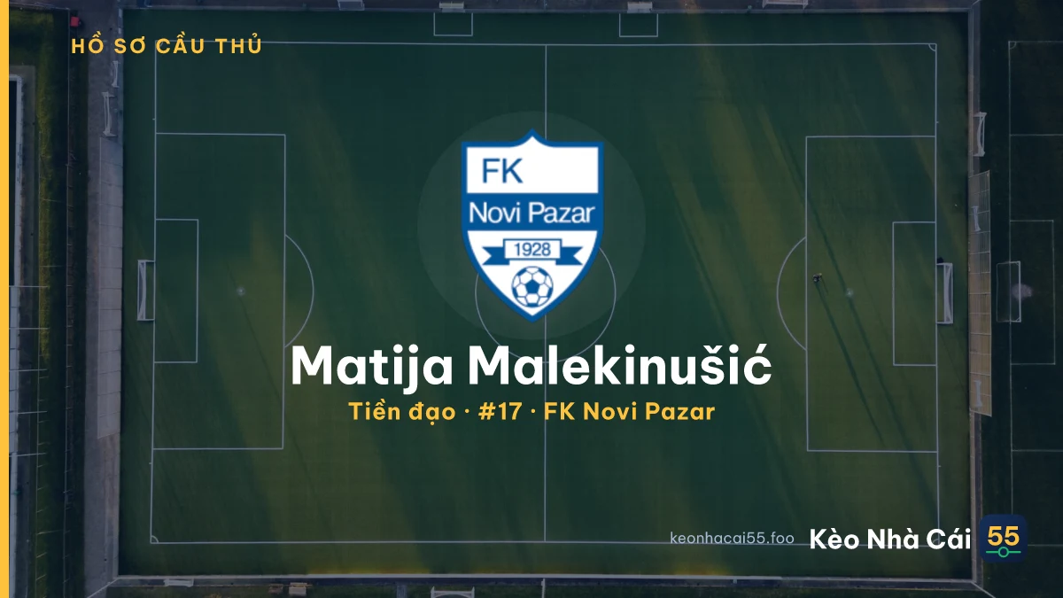 Matija Malekinušić — FK Novi Pazar