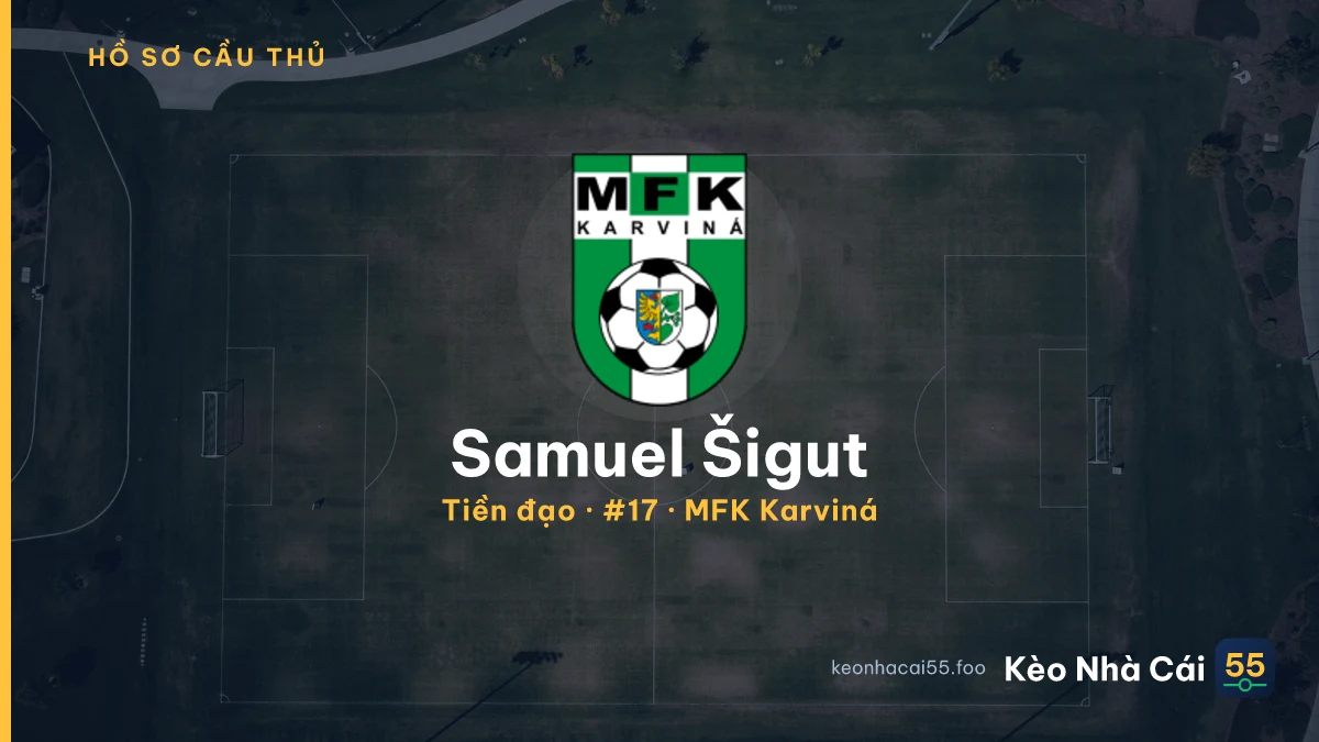 Samuel Šigut — MFK Karviná