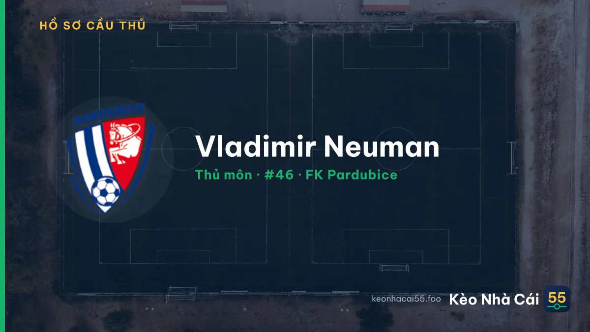 Vladimir Neuman — FK Pardubice