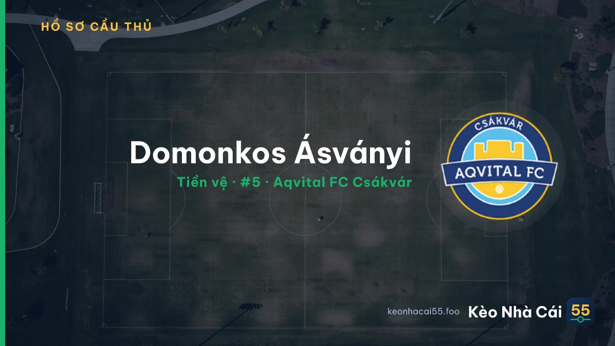 Domonkos Ásványi — Aqvital FC Csákvár
