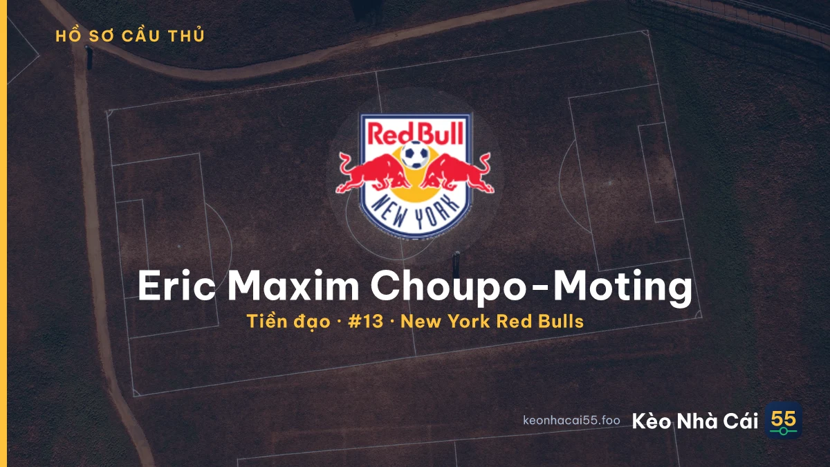 Eric Maxim Choupo-Moting — New York Red Bulls