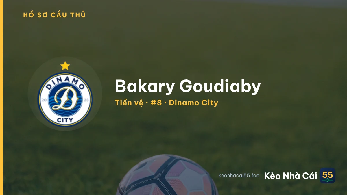 Bakary Goudiaby — Dinamo City