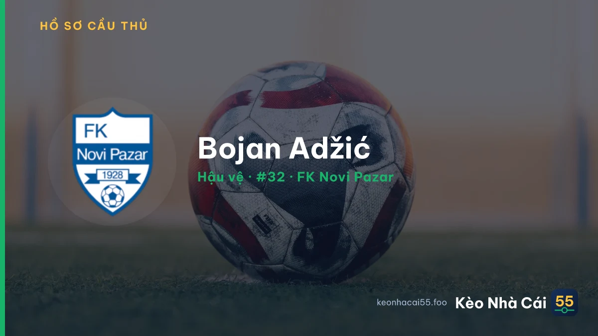 Bojan Adžić — FK Novi Pazar