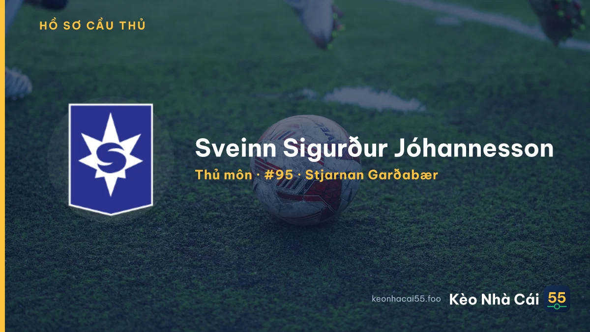 Sveinn Sigurður Jóhannesson — Stjarnan Garðabær