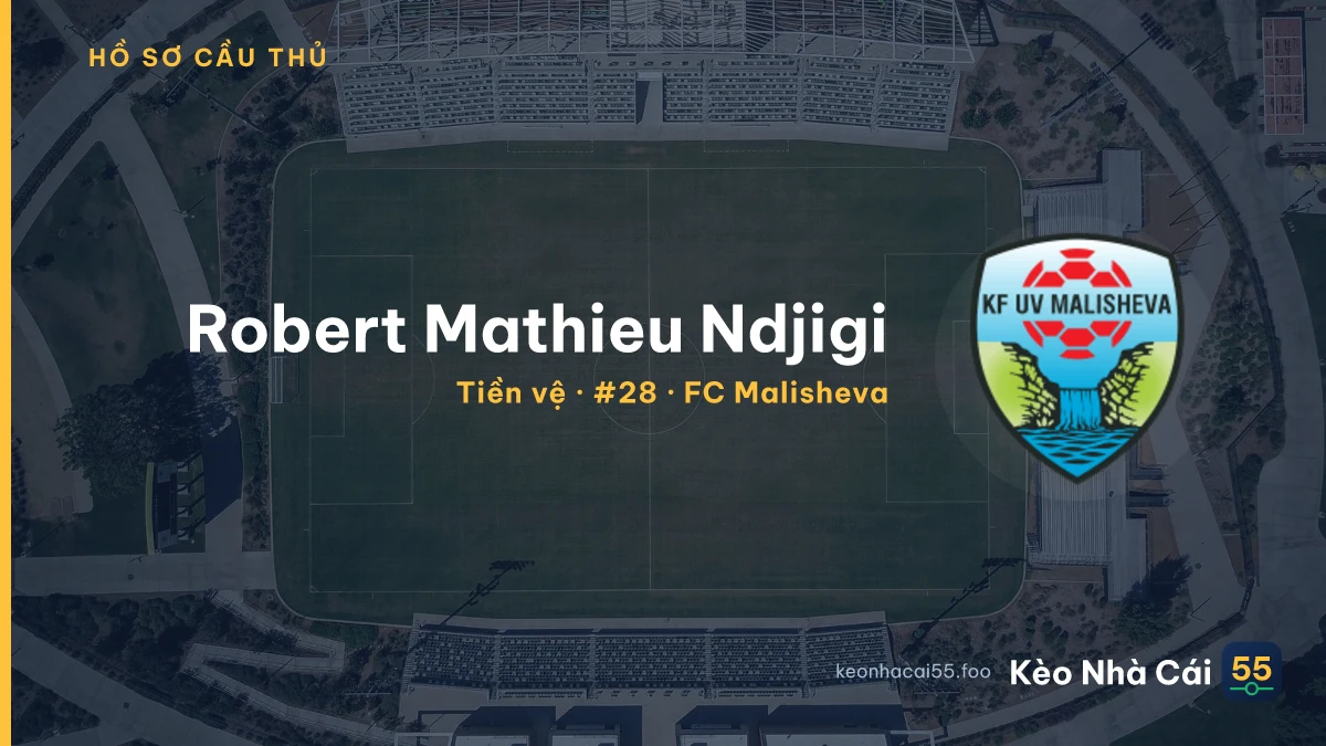 Robert Mathieu Ndjigi — FC Malisheva