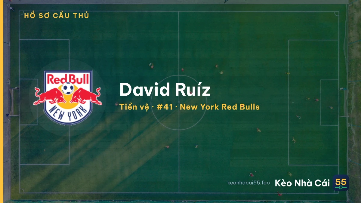 David Ruíz — New York Red Bulls