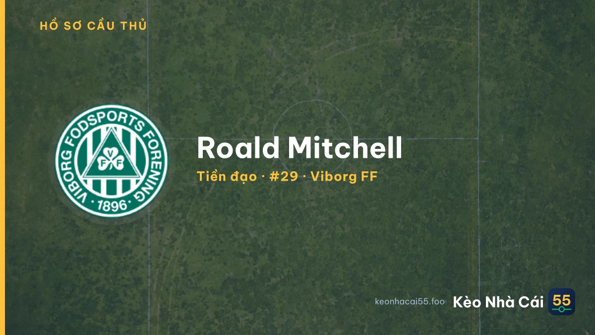 Roald Mitchell — Viborg FF