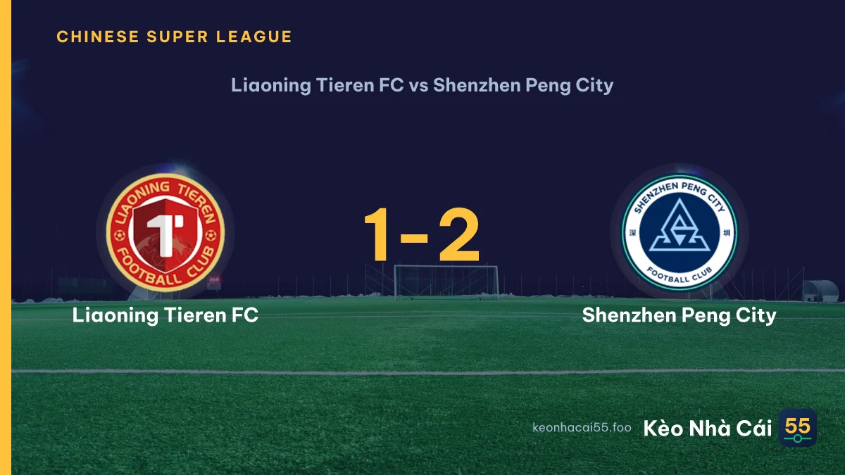 Nhận định Liaoning Tieren FC vs Shenzhen Peng City ngày 15/08/2026