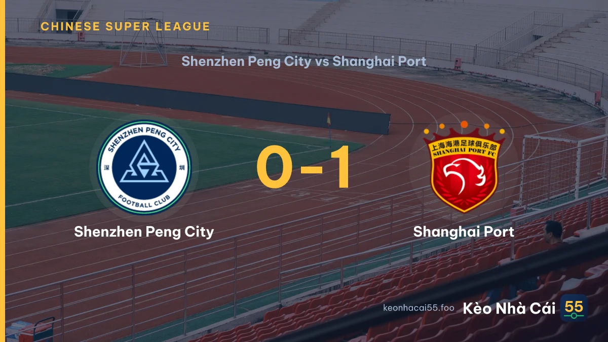 Nhận định Shenzhen Peng City vs Shanghai Port ngày 28/08/2026