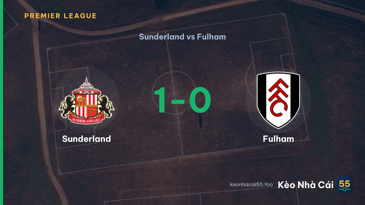 Nhận định Sunderland vs Fulham ngày 30/08/2026