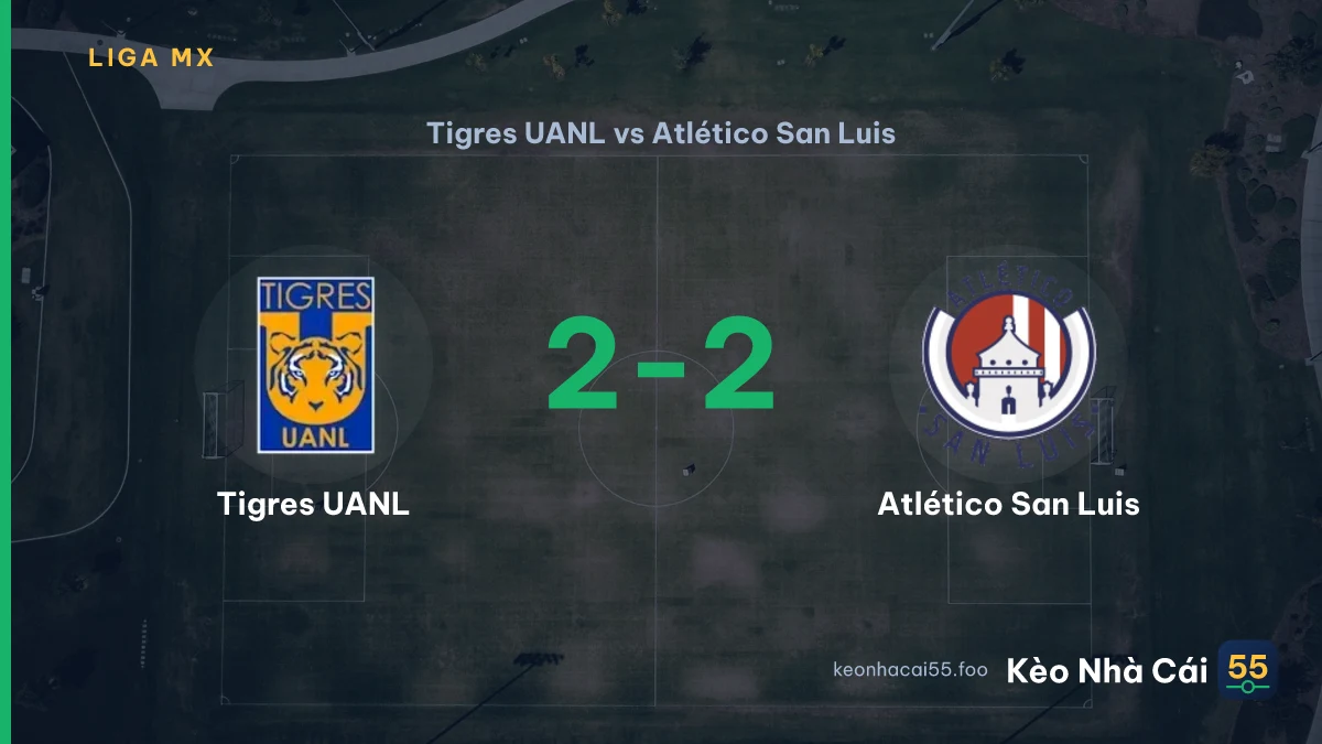 Nhận định Tigres UANL vs Atlético San Luis ngày 26/07/2026