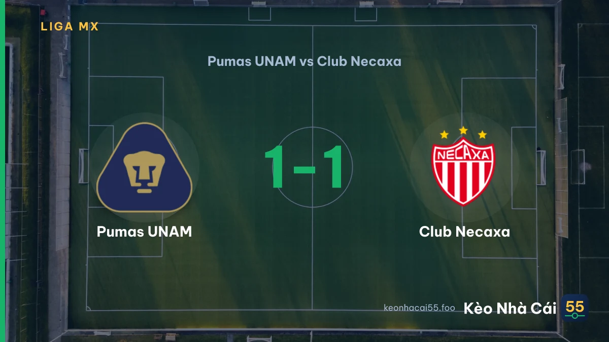 Nhận định Pumas UNAM vs Club Necaxa ngày 24/08/2026