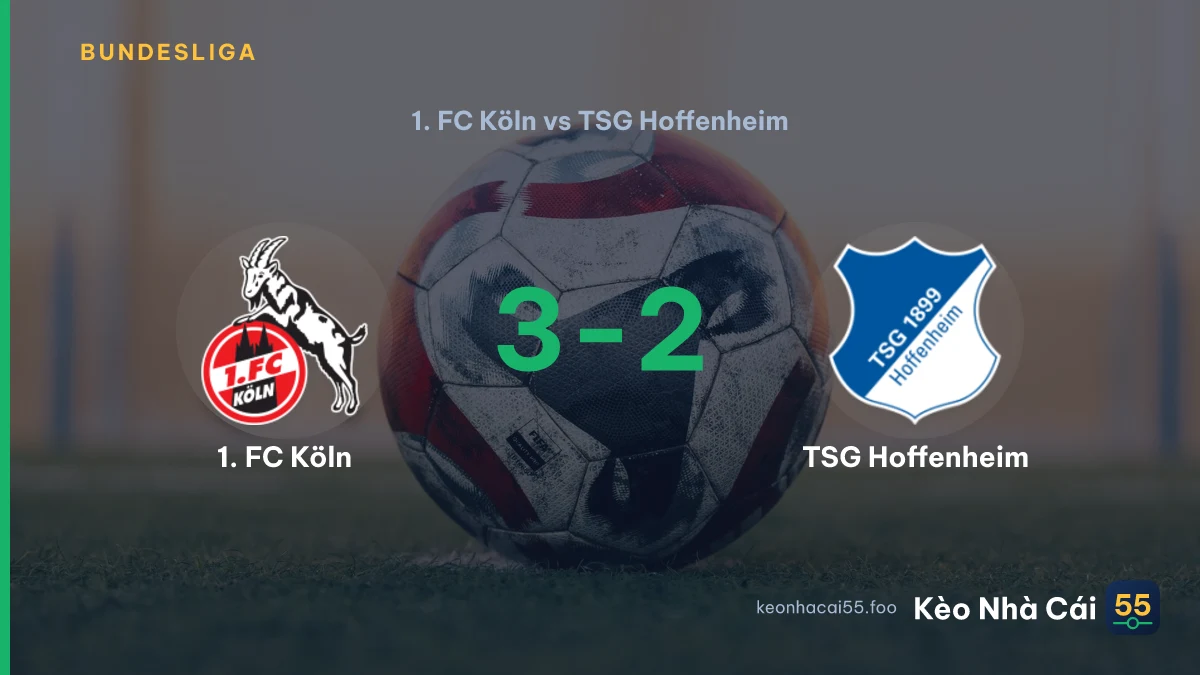 Nhận định 1. FC Köln vs TSG Hoffenheim ngày 29/08/2026