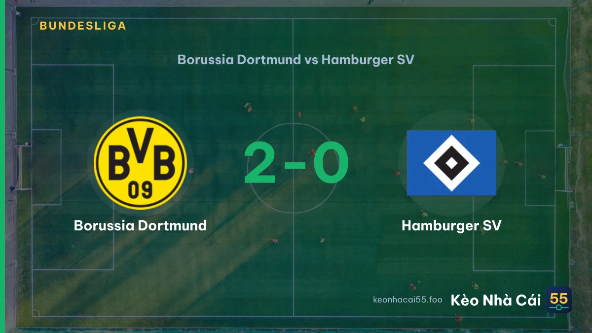 Nhận định Borussia Dortmund vs Hamburger SV ngày 29/08/2026