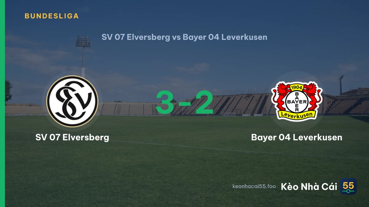 Nhận định SV 07 Elversberg vs Bayer 04 Leverkusen ngày 29/08/2026