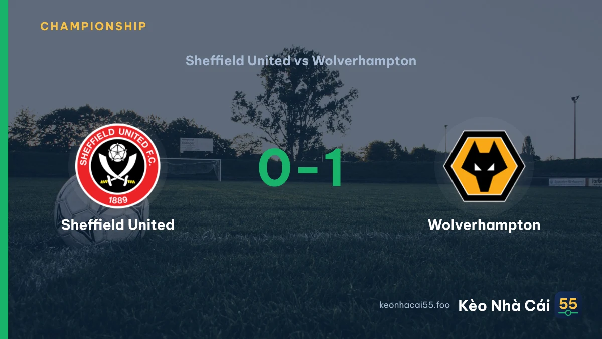 Nhận định Sheffield United vs Wolverhampton ngày 13/09/2026