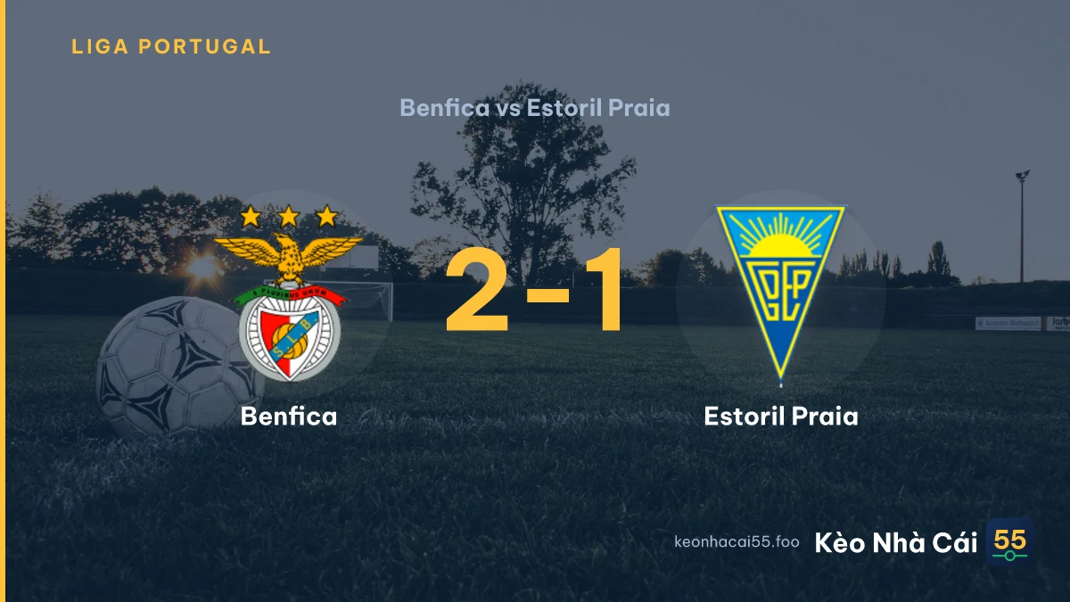 Nhận định Benfica vs Estoril Praia ngày 01/09/2026